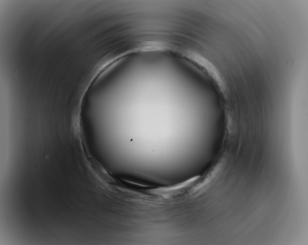 X0000094231473200711161859