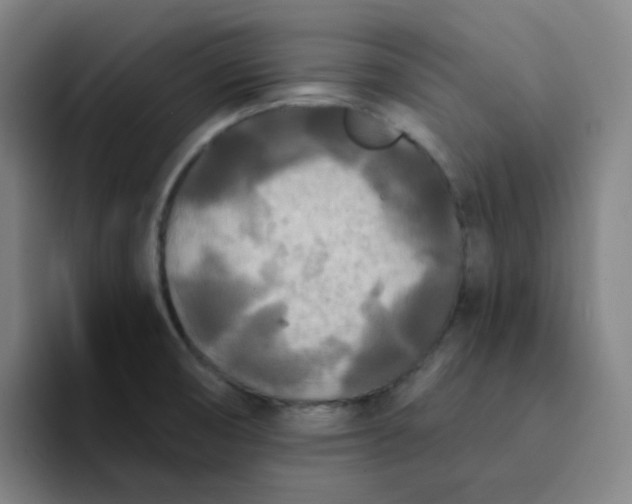 X0000094231474200711161859