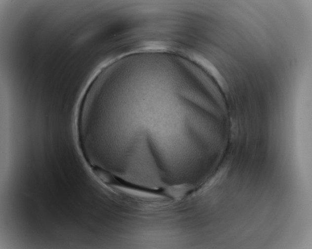 X0000094231475200711161859