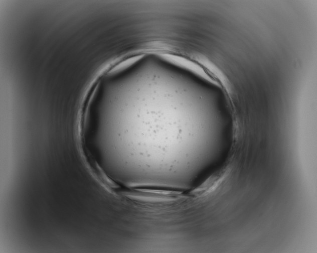 X0000094231477200711161859