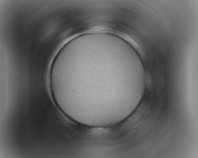 X0000094231478200711161859