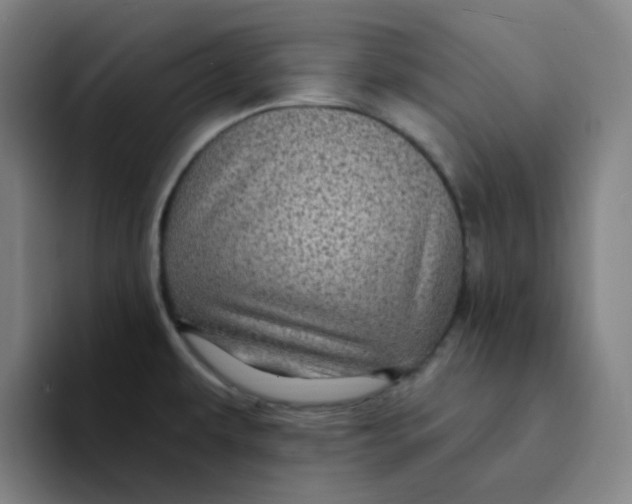 X0000094231479200711161859