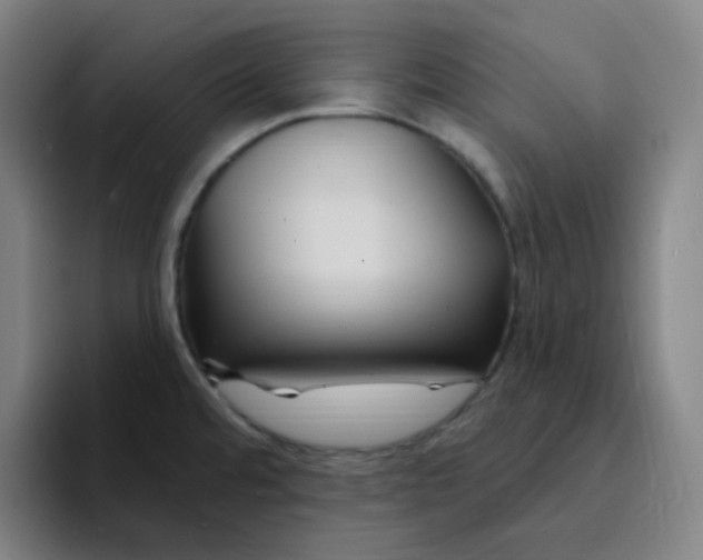 X0000094231480200711161859