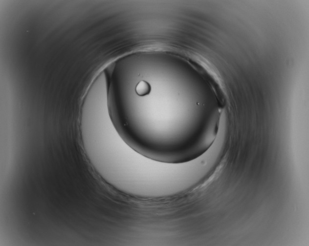 X0000094231481200711161859