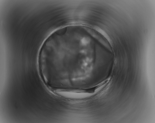 X0000094231482200711161859