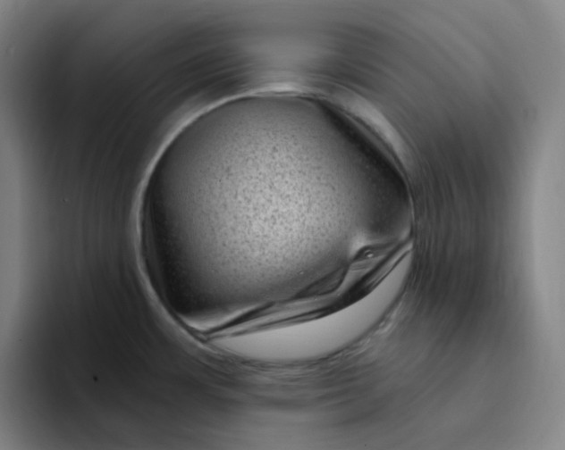 X0000094231483200711161859