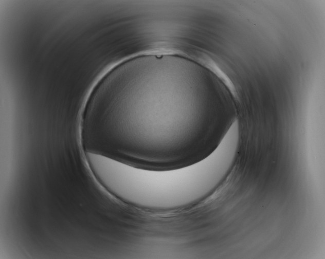 X0000094231484200711161859