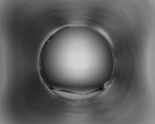 X0000094231485200711161859