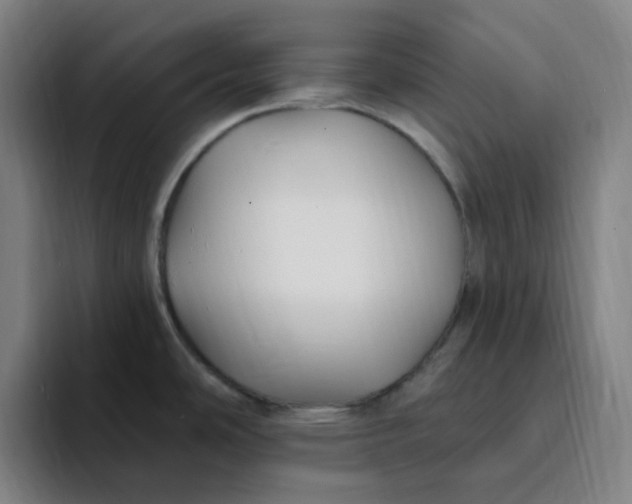 X0000094231486200711161859