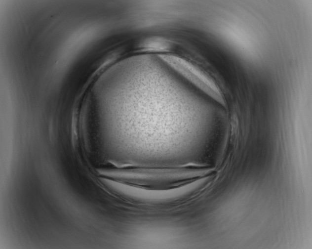 X0000094231487200711161859