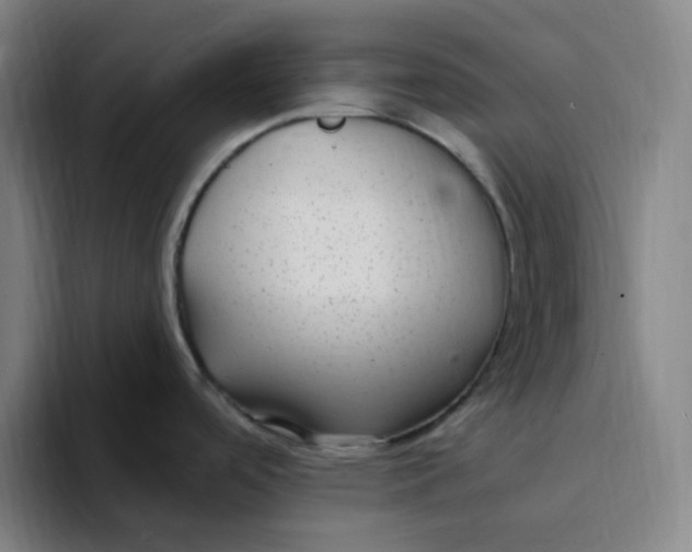 X0000094231488200711161859