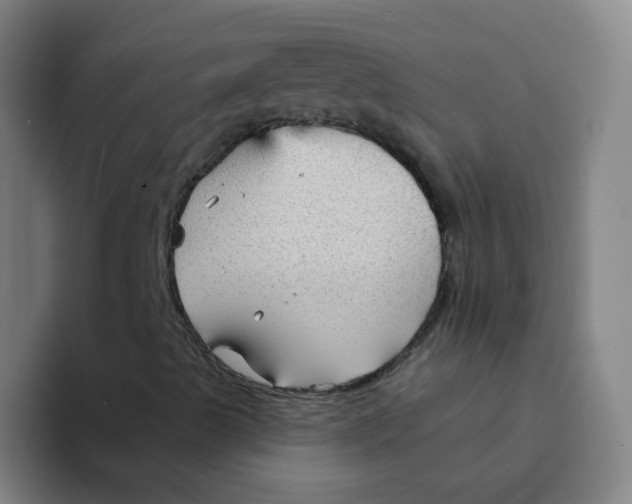 X0000094231489200711161858