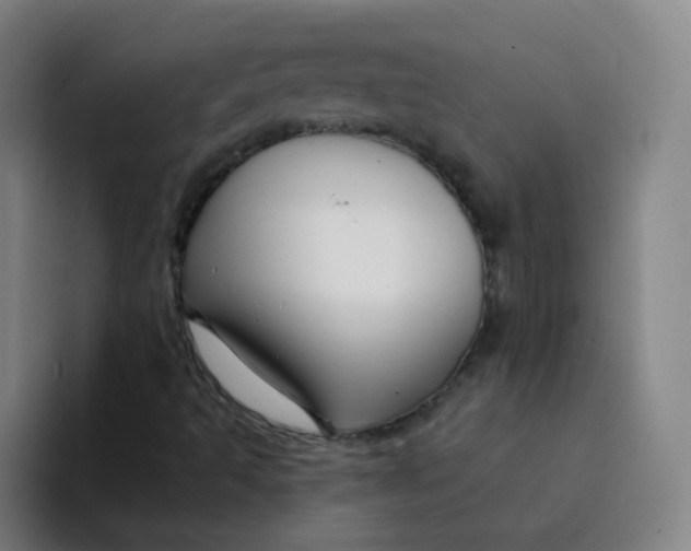 X0000094231493200711161858