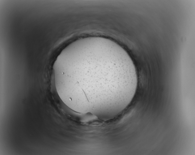 X0000094231494200711161859