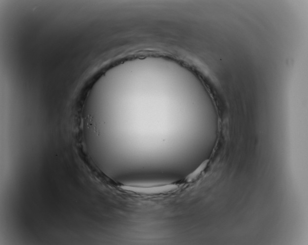 X0000094231496200711161859