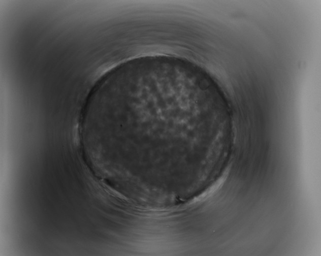 X0000094231497200711161859