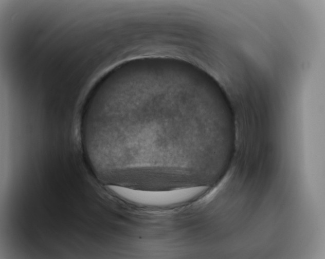 X0000094231498200711161859