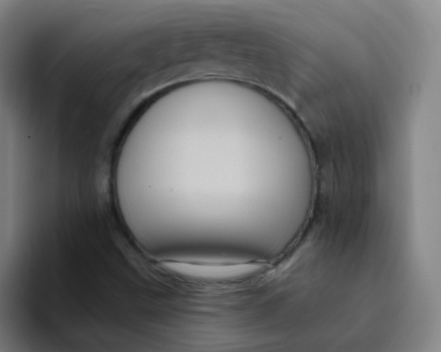 X0000094231499200711161859