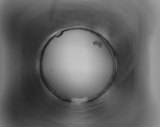 X0000094231500200711161859