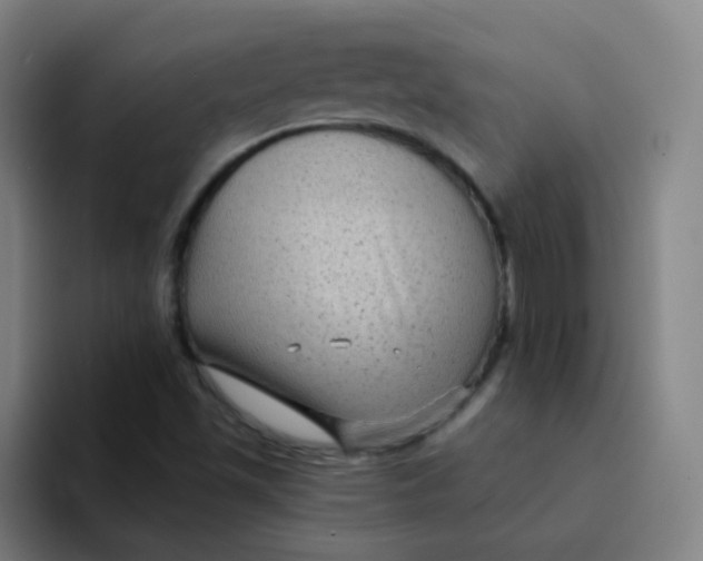 X0000094231501200711161859