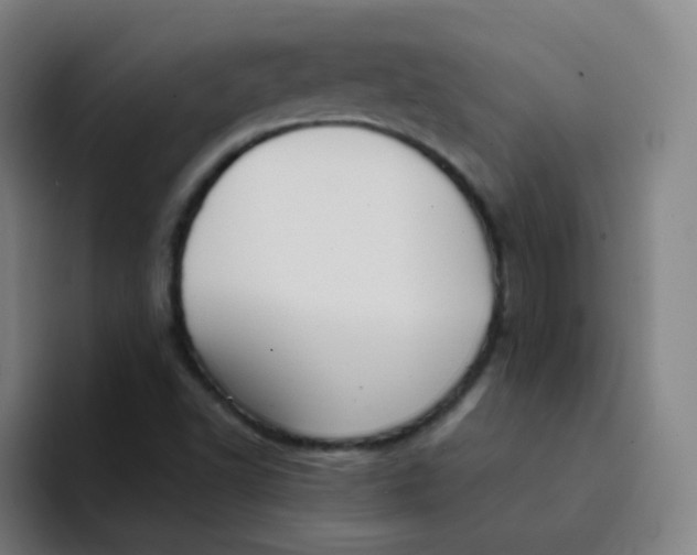 X0000094231502200711161859