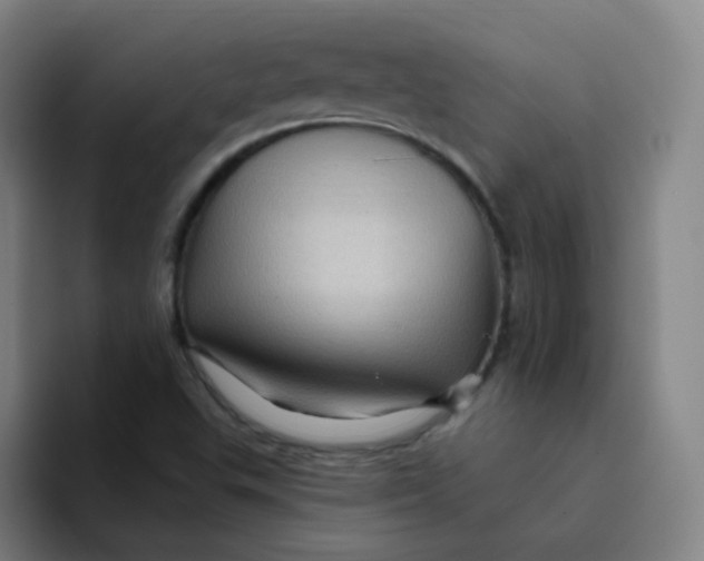 X0000094231503200711161859