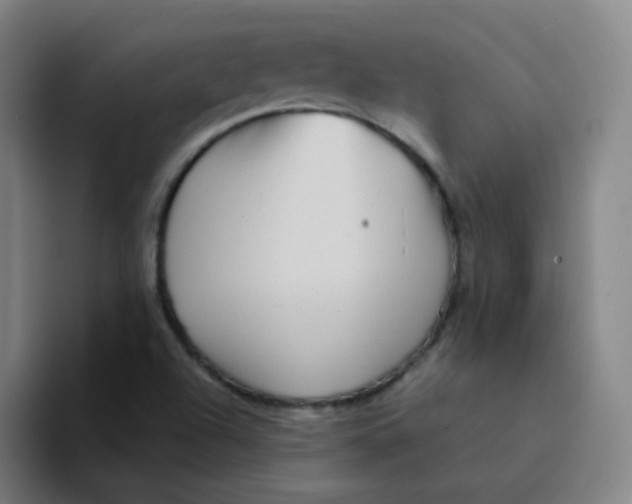 X0000094231504200711161859