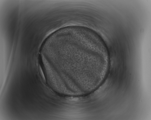 X0000094231505200711161859