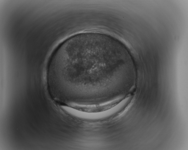 X0000094231506200711161859