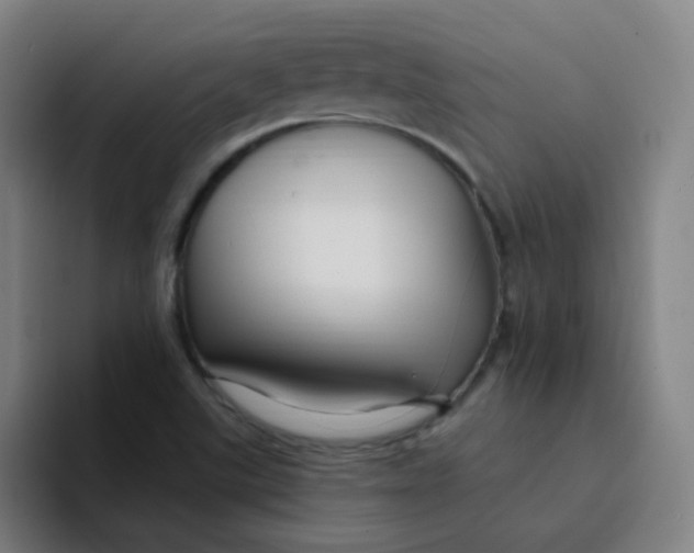 X0000094231507200711161859