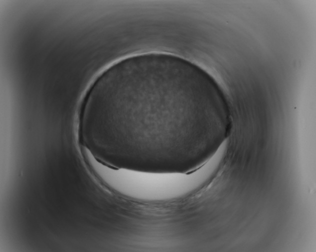 X0000094231508200711161859