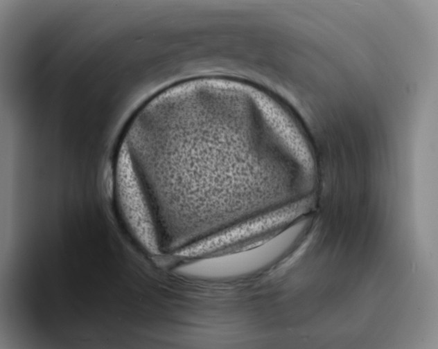 X0000094231509200711161859