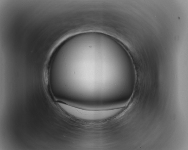 X0000094231510200711161859