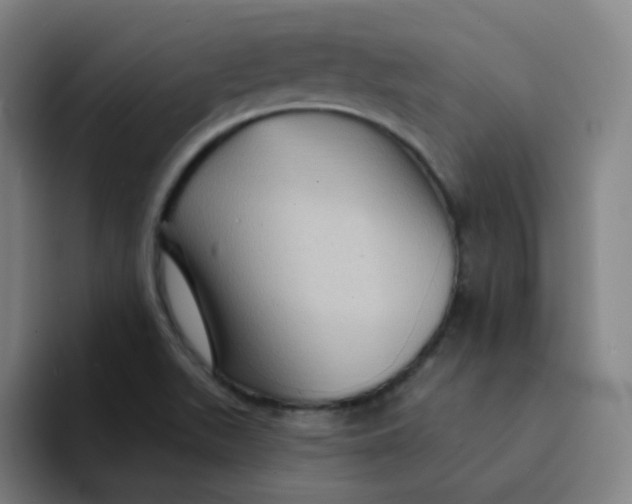 X0000094231511200711161859