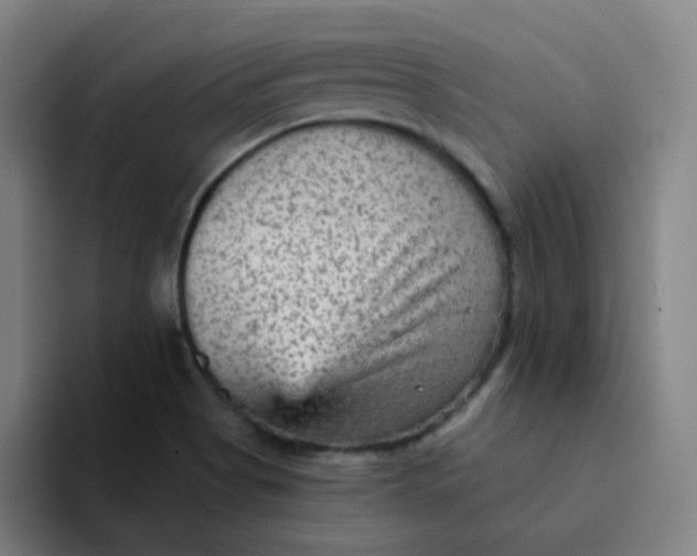 X0000094231513200711161859