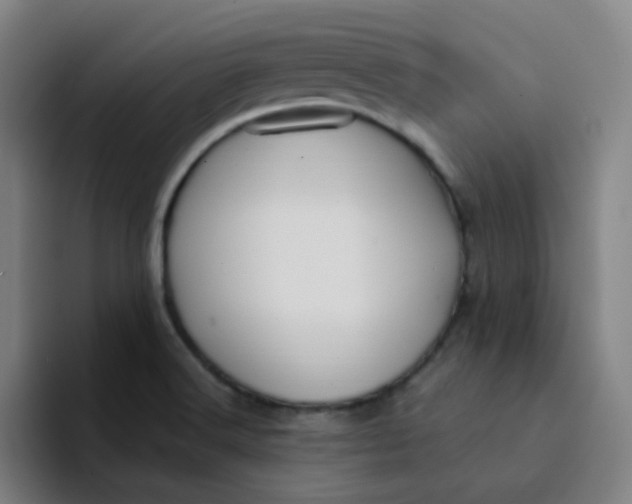 X0000094231516200711161859