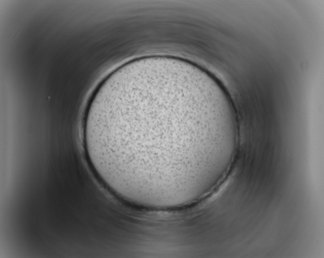 X0000094231517200711161859