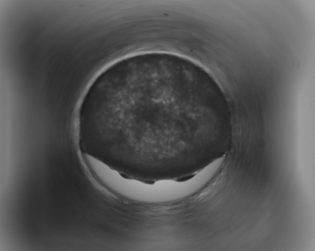 X0000094231519200711161859