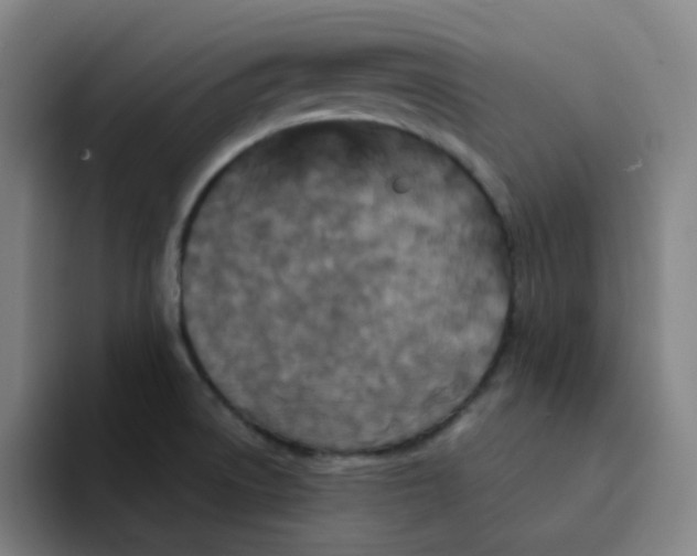 X0000094231522200711161859