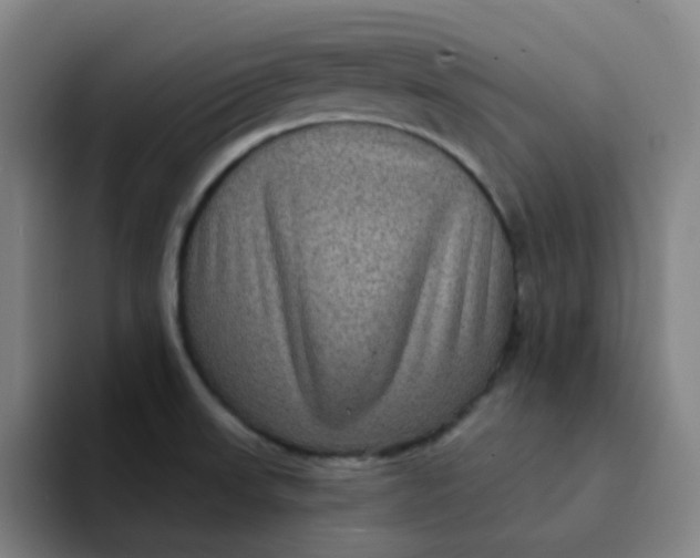 X0000094231523200711161859