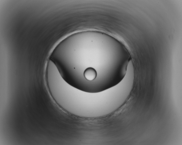 X0000094231524200711161859