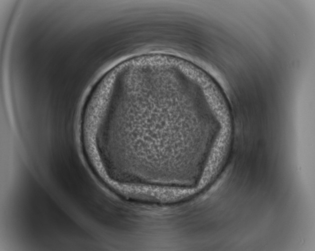 X0000094231525200711161859