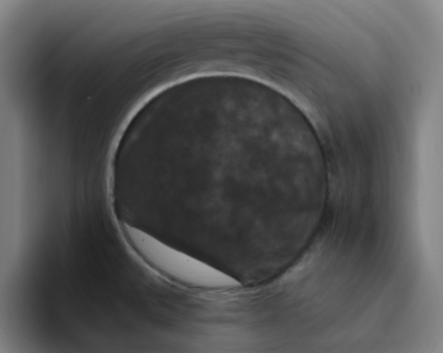 X0000094231527200711161859