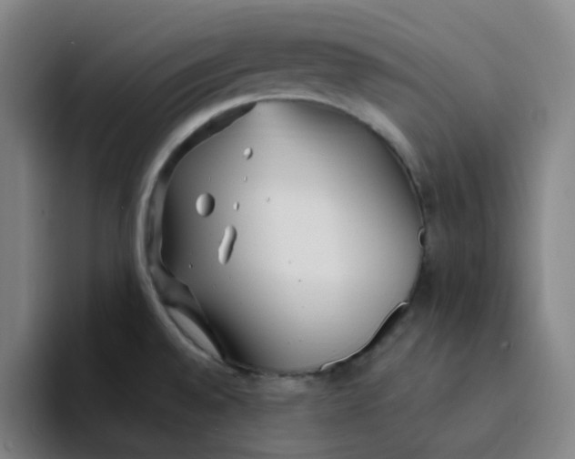 X0000094231528200711161859