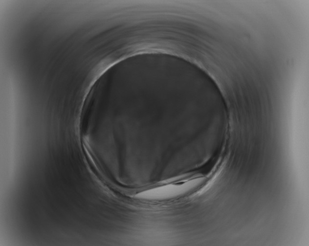 X0000094231529200711161859