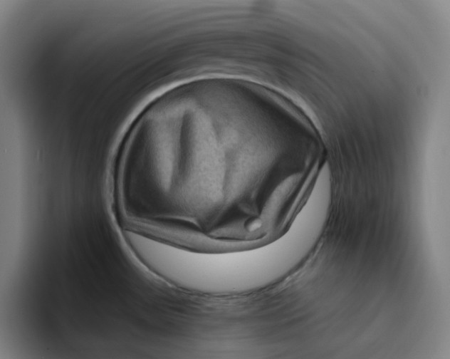 X0000094231531200711161859