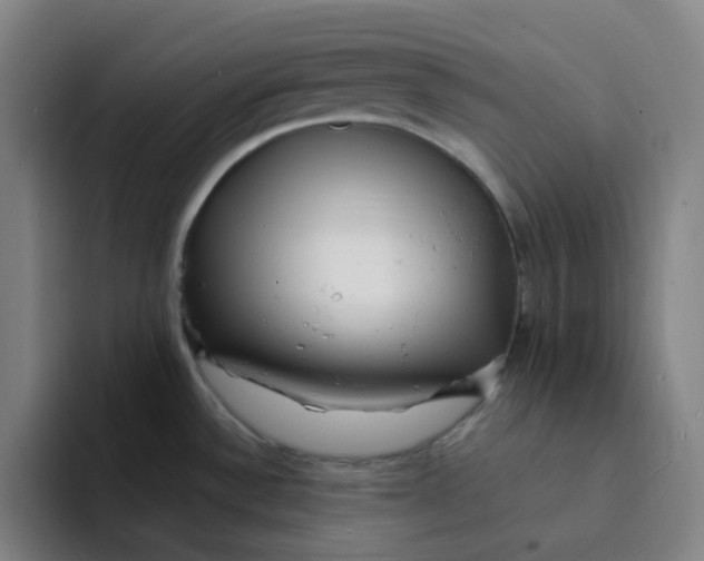 X0000094231532200711161859