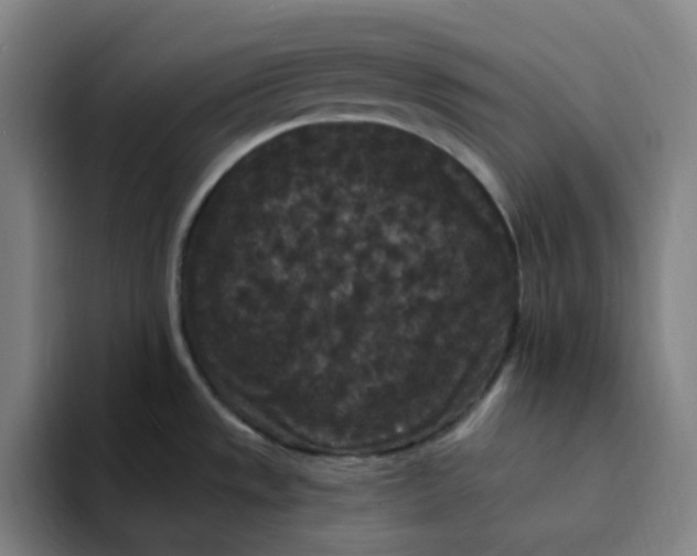 X0000094231533200711161859