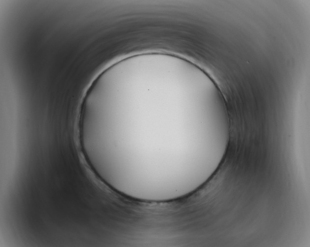 X0000094231534200711161859