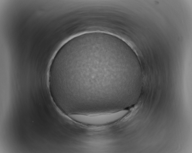 X0000094231535200711161859